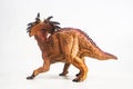 Dinosaur , Styracosaurus on white background Royalty Free Stock Photo
