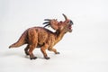 Dinosaur , Styracosaurus on white background Royalty Free Stock Photo