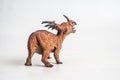 Dinosaur , Styracosaurus on white background Royalty Free Stock Photo
