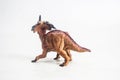 Dinosaur , Styracosaurus on white background Royalty Free Stock Photo