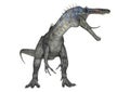 Dinosaur Suchomimus Royalty Free Stock Photo