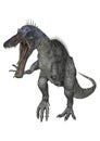 Dinosaur Suchomimus Royalty Free Stock Photo