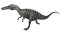 Dinosaur Suchomimus Royalty Free Stock Photo