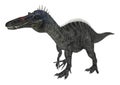 Dinosaur Suchomimus Royalty Free Stock Photo