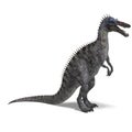 Dinosaur Suchominus Royalty Free Stock Photo