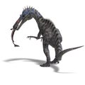 Dinosaur Suchominus Royalty Free Stock Photo