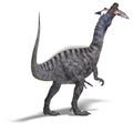 Dinosaur Suchominus Royalty Free Stock Photo