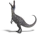 Dinosaur Suchominus. 3D rendering with clipping Royalty Free Stock Photo