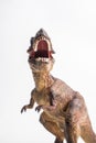 Dinosaur , T-rex , Tyrannosaurus on white background