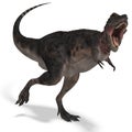 Dinosaur Tarbosaurus Royalty Free Stock Photo