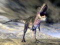 Dinosaur Tarbosaurus Royalty Free Stock Photo