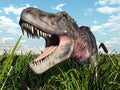 Dinosaur Tarbosaurus Royalty Free Stock Photo