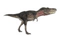 Dinosaur Tarbosaurus