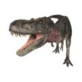 Dinosaur Tarbosaurus