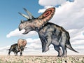 Dinosaur Torosaurus Royalty Free Stock Photo