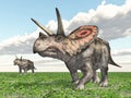 Dinosaur Torosaurus Royalty Free Stock Photo