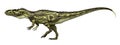 Dinosaur Torvosaurus isolated on white background