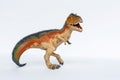 Dinosaur Toy standing on white background. Tyrannosaur rex toy Royalty Free Stock Photo