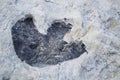 Dinosaur Track