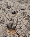 Dinosaur Tracks footprints Vale de Meios, Portugal, Serra D'aire e Candeeiros