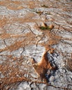 Dinosaur Tracks footprints Vale de Meios, Portugal, Serra D'aire e Candeeiros