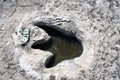 Dinosaur Tracks in Texas. Royalty Free Stock Photo