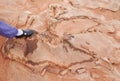 Dinosaur tracks usa Royalty Free Stock Photo