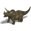 Dinosaur Triceratops Royalty Free Stock Photo