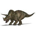 Dinosaur Triceratops