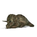 Dinosaur Triceratops Royalty Free Stock Photo