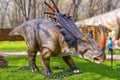 Dinosaur triceratops in the forest Royalty Free Stock Photo