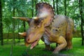 Dinosaur Triceratops horridus in jurassic park Royalty Free Stock Photo