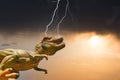 Dinosaur Tyrannorausus Rex (T-Rex) in dramatic weather conditions (toy photography) Royalty Free Stock Photo