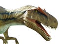 Dinosaur Tyrannosaurus rex isolated on white background Royalty Free Stock Photo