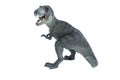 Dinosaur tyrannosaurus rex also known as t rex Royalty Free Stock Photo