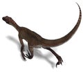 Dinosaur Utahraptor Royalty Free Stock Photo