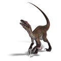 Dinosaur Utahraptor Royalty Free Stock Photo