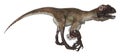 Dinosaur Utahraptor Royalty Free Stock Photo