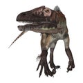 Dinosaur Utahraptor Royalty Free Stock Photo