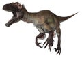 Dinosaur Utahraptor Royalty Free Stock Photo