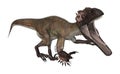 Dinosaur Utahraptor Royalty Free Stock Photo