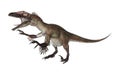 Dinosaur Utahraptor Royalty Free Stock Photo