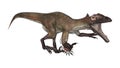 Dinosaur Utahraptor Royalty Free Stock Photo