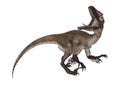 Dinosaur Utahraptor Royalty Free Stock Photo