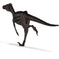 Dinosaur Velociraptor Royalty Free Stock Photo