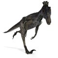 Dinosaur Velociraptor Royalty Free Stock Photo