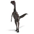 Dinosaur Velociraptor Royalty Free Stock Photo