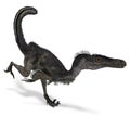 Dinosaur Velociraptor Royalty Free Stock Photo
