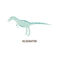 Dinosaur Velociraptor. Colorful vector isolated hand drawn