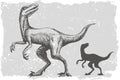 Dinosaur velociraptor grafic hand drawn and silhouette illustration Royalty Free Stock Photo
